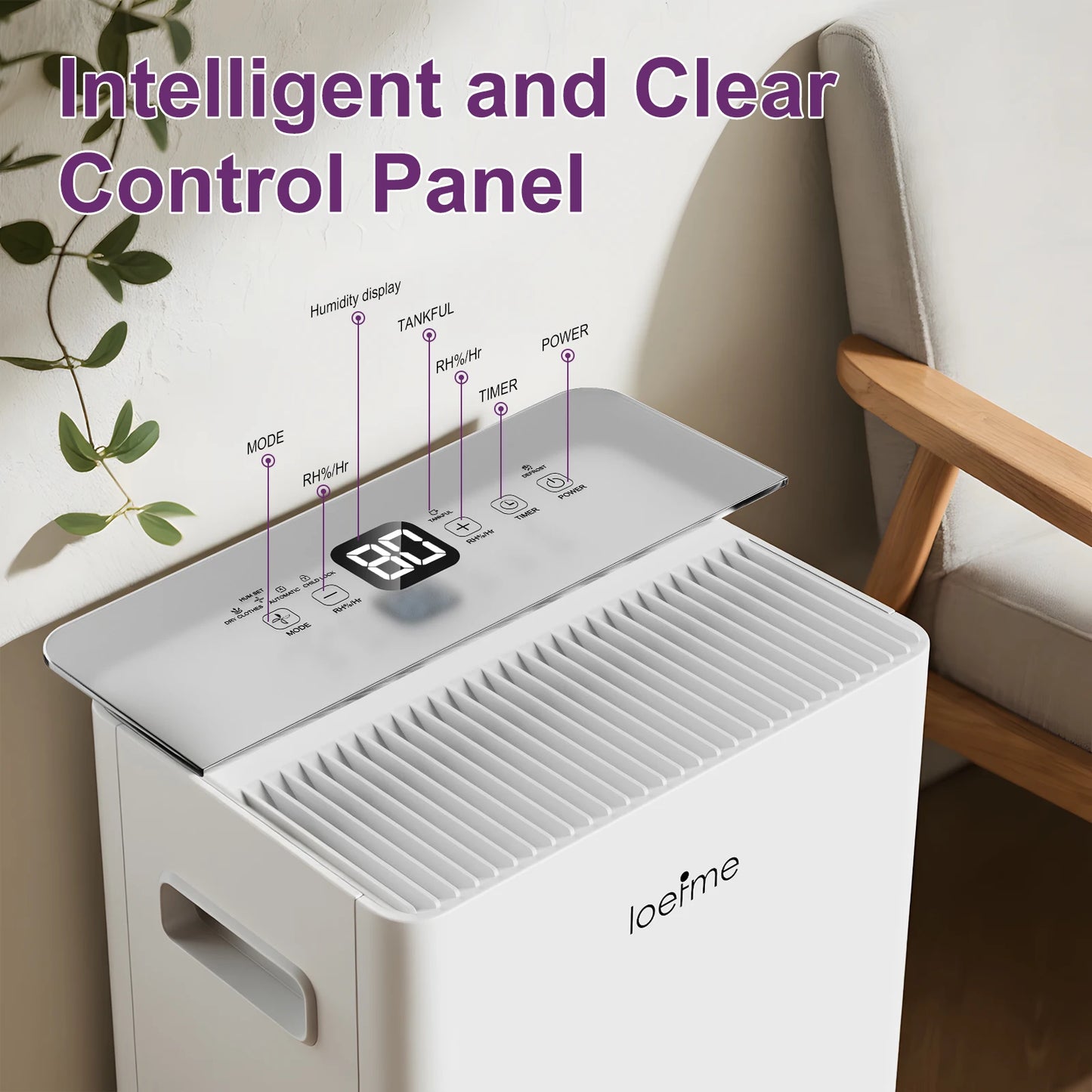 Dehumidifier 8L 10L 12L 16L/Day 24H Timer Electric Automatic Defrosting Home Bedroom 1.5L 2.0L Water Tank Wheels Pipes