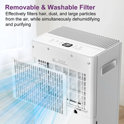 Dehumidifier 8L 10L 12L 16L/Day 24H Timer Electric Automatic Defrosting Home Bedroom 1.5L 2.0L Water Tank Wheels Pipes